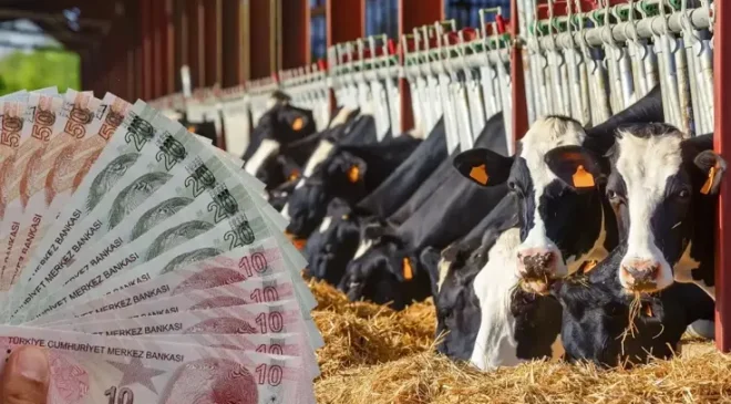 TÜİK verileri ile ortaya çıktı: İşte en çok büyükbaş hayvanın olduğu ilimiz